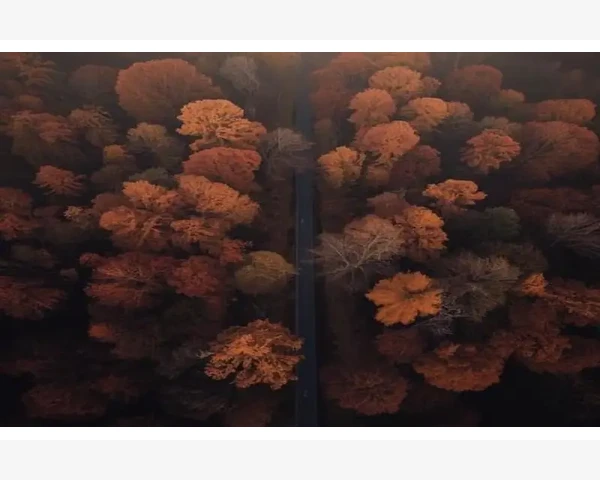 中医调理脾胃之虚，恢复身体活力